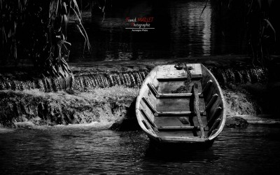 barque isle sur la sorgue