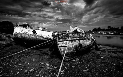 Priorité aux poissons