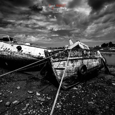 Priorité aux poissons