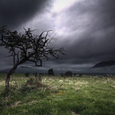 ambiance au puy de dome