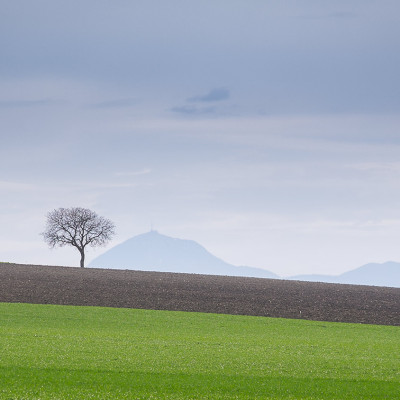 photo printemps puy de dome - © Franck MAILLET