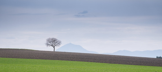 photo printemps puy de dome - © Franck MAILLET