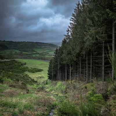 Anschald - © Franck MAILLET