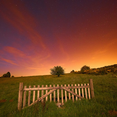 Portail Nature | © Franck MAILLET | Tirages d'art et cessions de droit