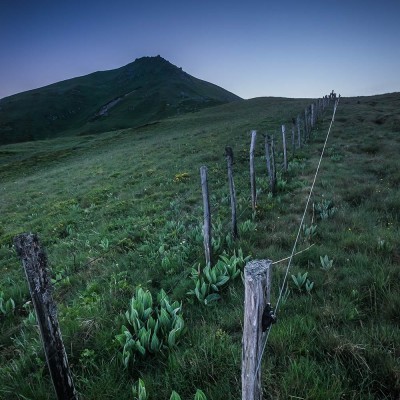 Puy Gros | Gentiane Verâtre