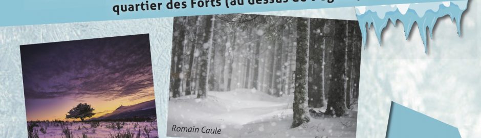 Affiche de l'Exposition Errances Glacées.